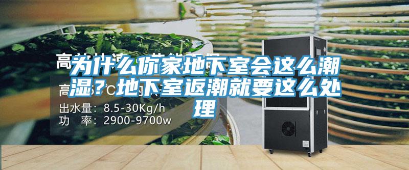 為什么你家地下室會這么潮濕?地下室返潮就要這么處理
