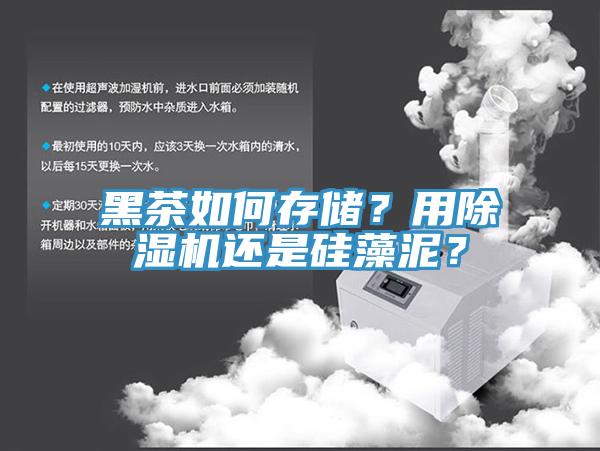 黑茶如何存儲？用除濕機還是硅藻泥？