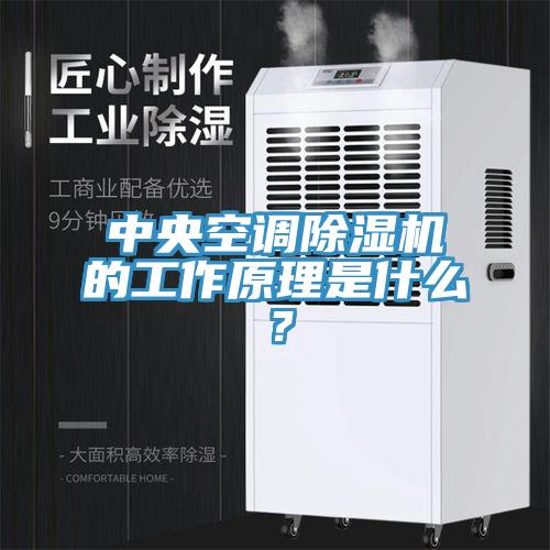 中央空調(diào)除濕機(jī)的工作原理是什么？