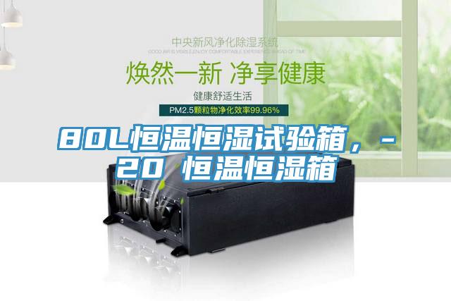 80L恒溫恒濕試驗箱,-20℃恒溫恒濕箱