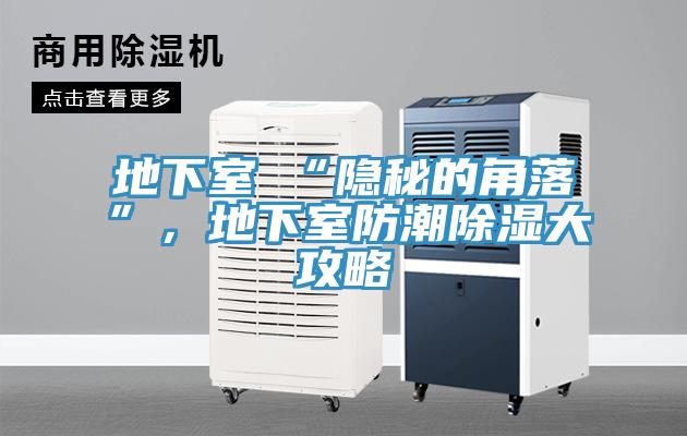 地下室≠“隱秘的角落”，地下室防潮除濕大攻略