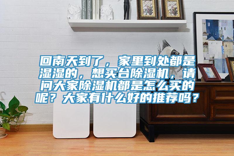 回南天到了，家里到處都是濕濕的，想買臺除濕機，請問大家除濕機都是怎么買的呢？大家有什么好的推薦嗎？