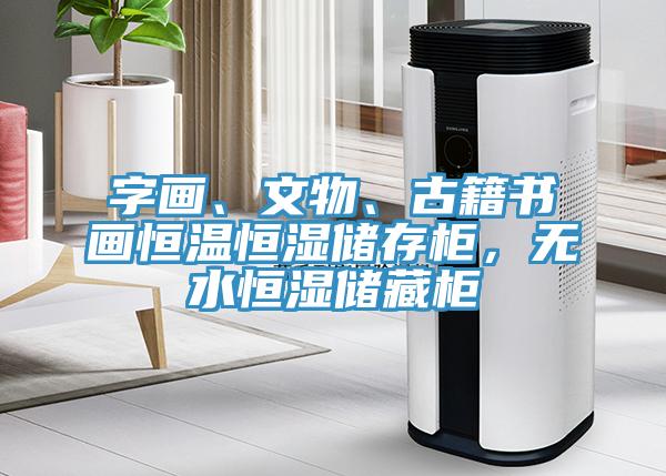 字畫、文物、古籍書畫恒溫恒濕儲(chǔ)存柜，無水恒濕儲(chǔ)藏柜