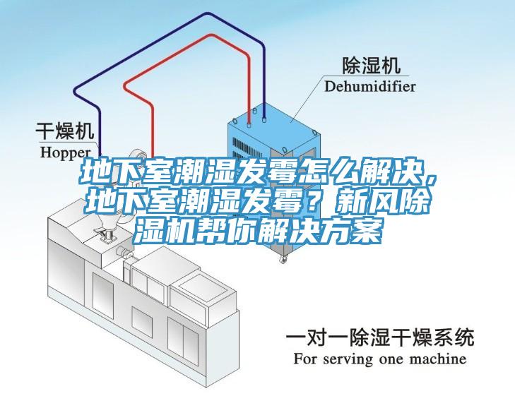 地下室潮濕發霉怎么解決，地下室潮濕發霉？新風除濕機幫你解決方案