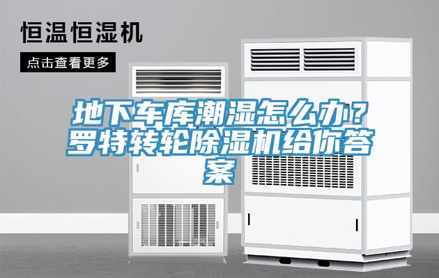 地下車庫潮濕怎么辦？羅特轉(zhuǎn)輪除濕機給你答案