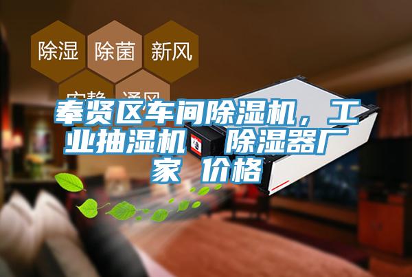 奉賢區車間除濕機，工業抽濕機  除濕器廠家 價格