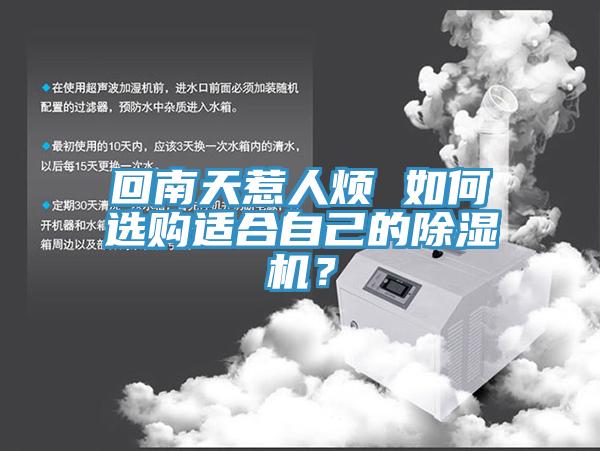 回南天惹人煩 如何選購適合自己的除濕機？