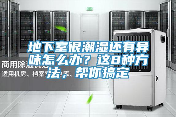 地下室很潮濕還有異味怎么辦？這8種方法，幫你搞定