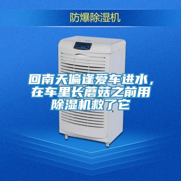 回南天偏逢愛車進水，在車里長蘑菇之前用除濕機救了它