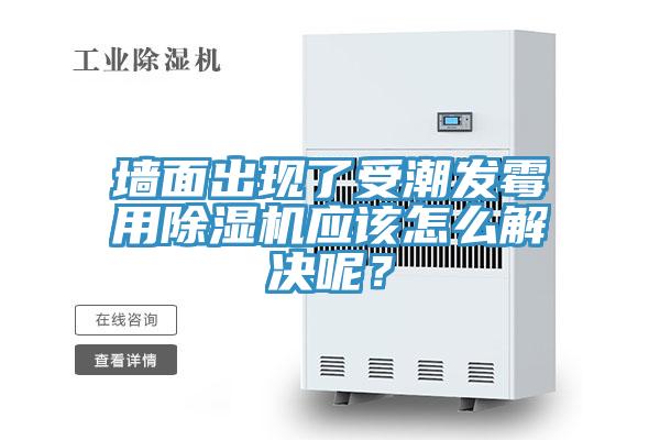 墻面出現了受潮發霉用除濕機應該怎么解決呢?