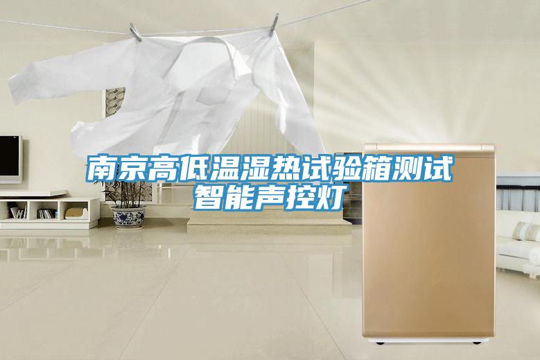 南京高低溫濕熱試驗(yàn)箱測(cè)試智能聲控?zé)?/></p>
                            <p style=