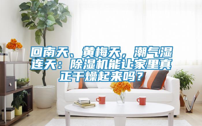 回南天、黃梅天，潮氣濕連天：除濕機能讓家里真正干燥起來嗎？