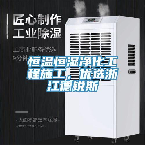 恒溫恒濕凈化工程施工，優選浙江德銳斯