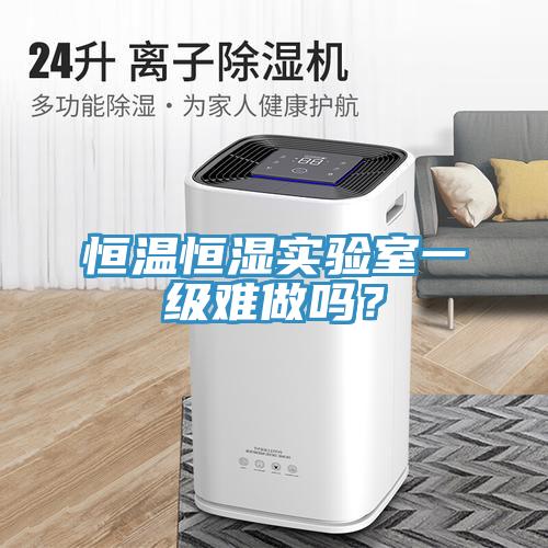 恒溫恒濕實(shí)驗(yàn)室一級(jí)難做嗎？