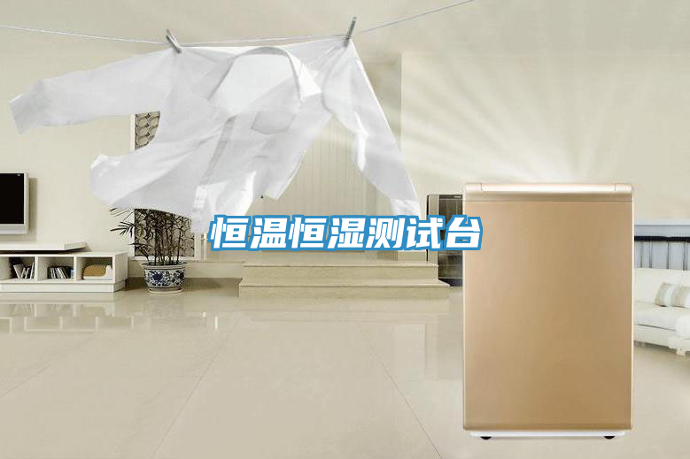 恒溫恒濕測試臺(tái)