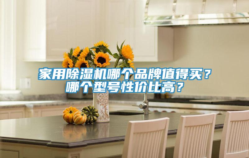 家用除濕機哪個品牌值得買？哪個型號性價比高？