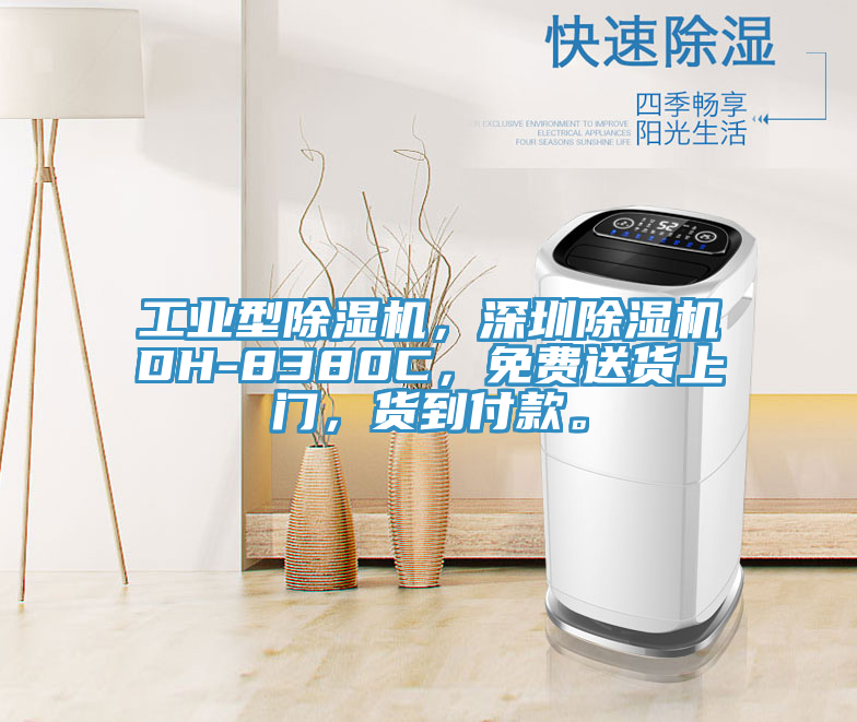 工業(yè)型除濕機，深圳除濕機DH-8380C，免費送貨上門，貨到付款。