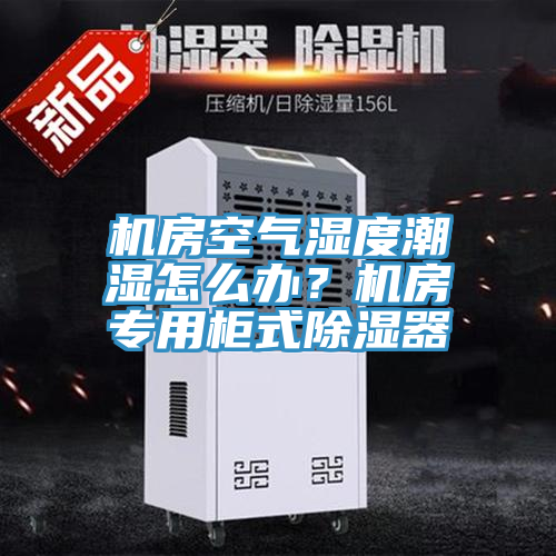 機房空氣濕度潮濕怎么辦？機房專用柜式除濕器