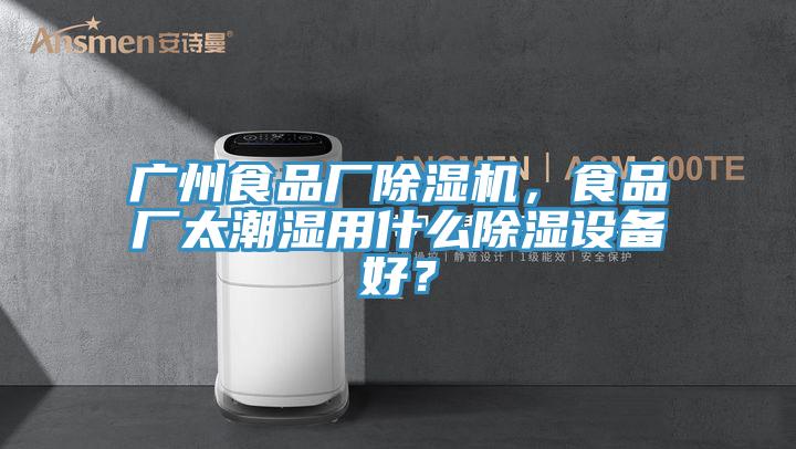 廣州食品廠除濕機，食品廠太潮濕用什么除濕設備好？