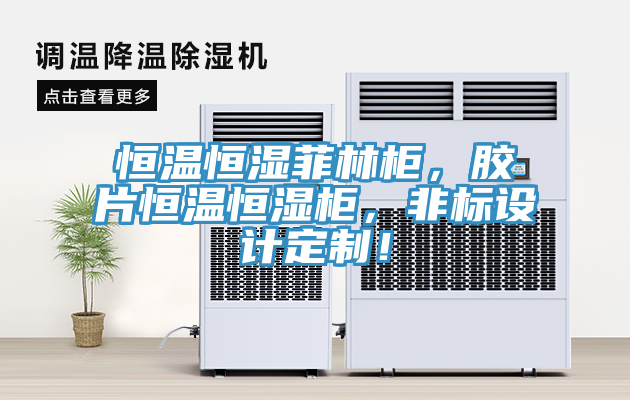 恒溫恒濕菲林柜，膠片恒溫恒濕柜，非標設計定制！