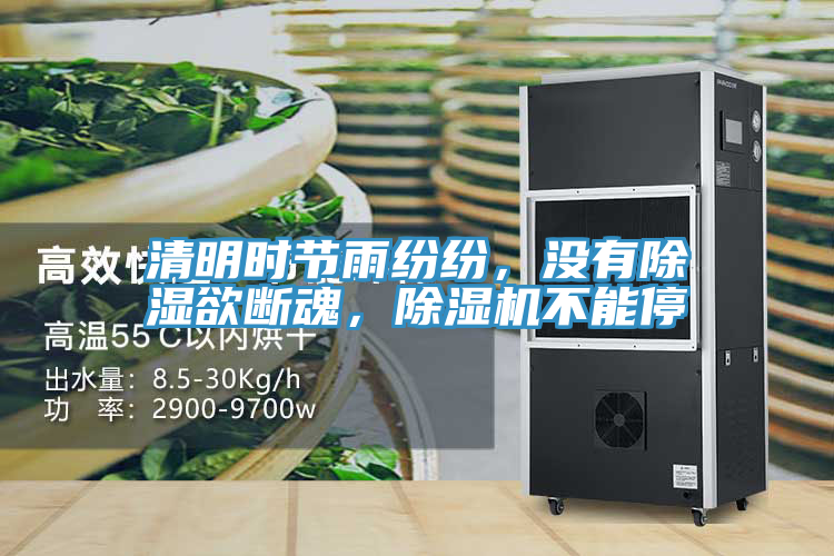 清明時節雨紛紛，沒有除濕欲斷魂，除濕機不能停