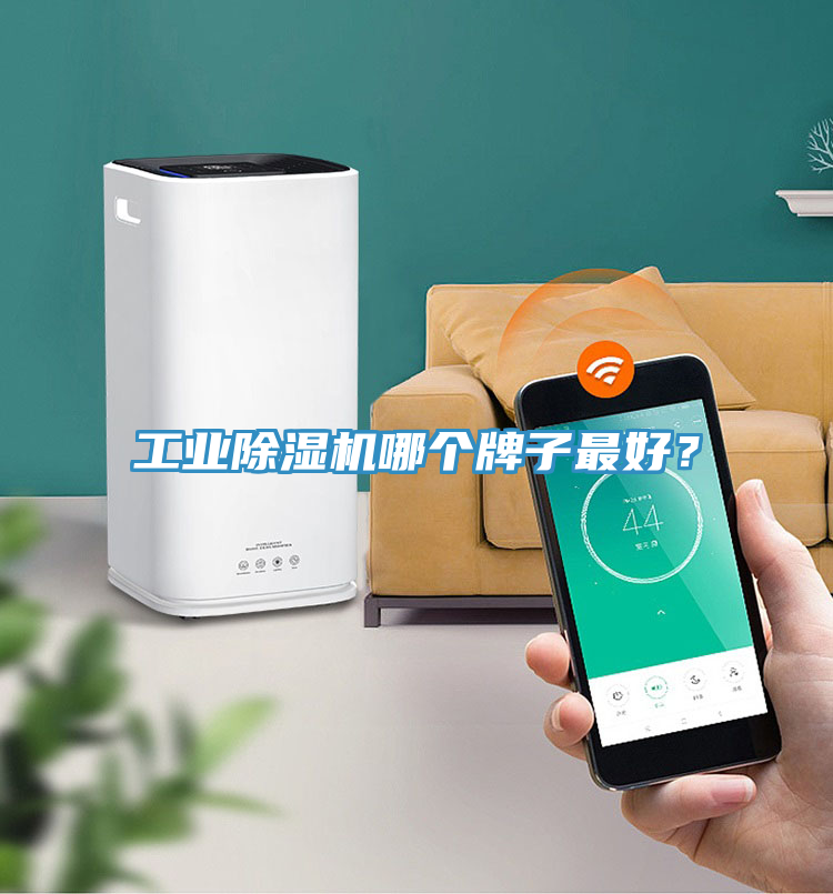 工業(yè)除濕機(jī)哪個牌子最好？