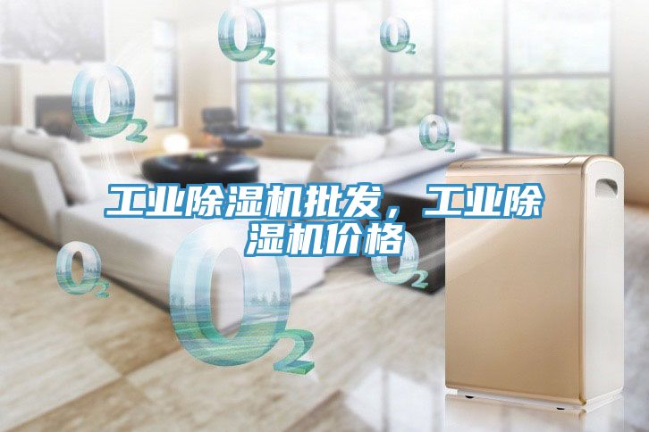 工業(yè)除濕機(jī)批發(fā)，工業(yè)除濕機(jī)價(jià)格