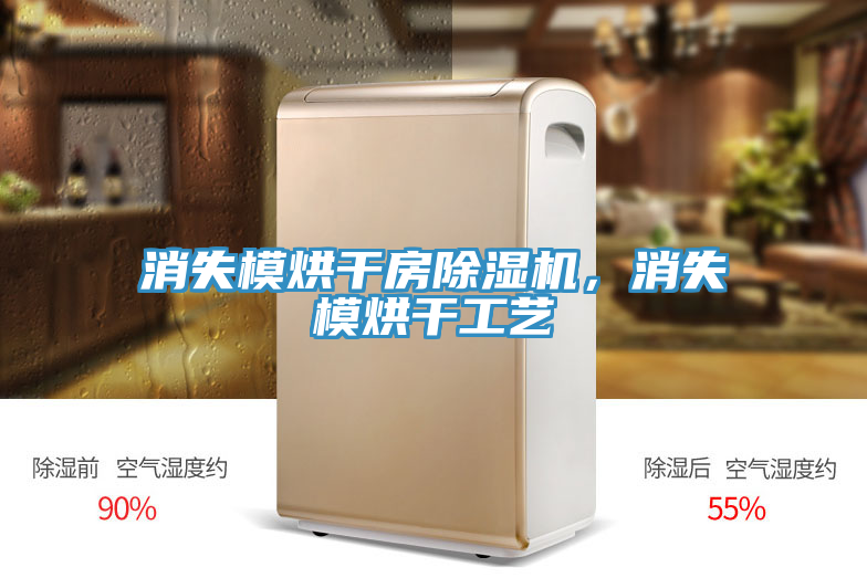 消失模烘干房除濕機(jī),消失模烘干工藝