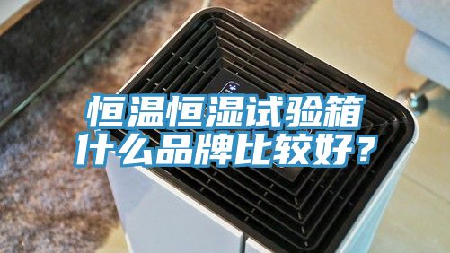 恒溫恒濕試驗箱什么品牌比較好？