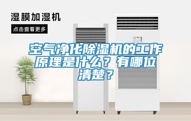 空氣凈化除濕機的工作原理是什么?有哪位清楚?