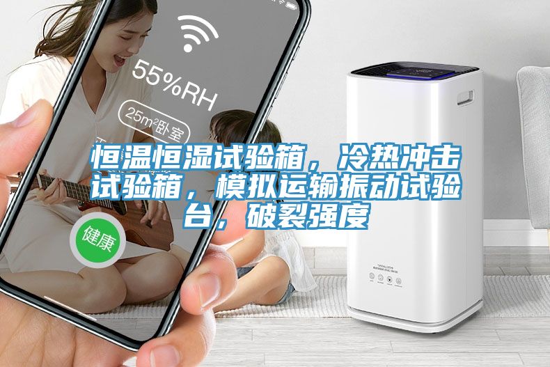 恒溫恒濕試驗箱，冷熱沖擊試驗箱，模擬運輸振動試驗臺，破裂強度