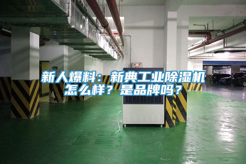 新人爆料：新典工業(yè)除濕機(jī)怎么樣？是品牌嗎？