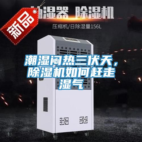 潮濕悶熱三伏天，除濕機如何趕走濕氣