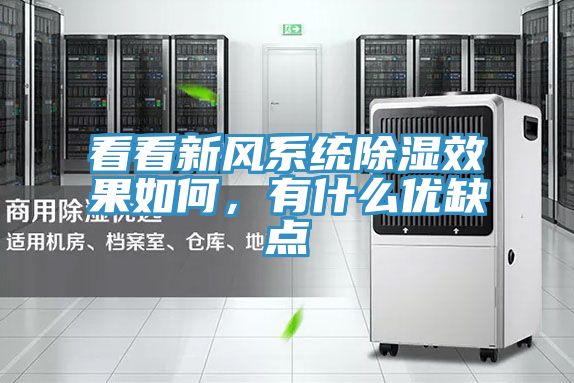 看看新風系統(tǒng)除濕效果如何,有什么優(yōu)缺點