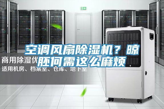 空調風扇除濕機?晾胚何需這么麻煩