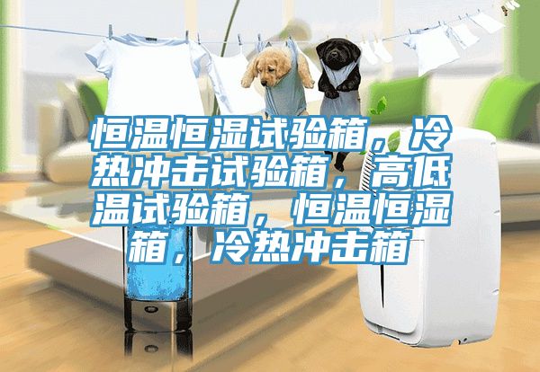 恒溫恒濕試驗箱，冷熱沖擊試驗箱，高低溫試驗箱，恒溫恒濕箱，冷熱沖擊箱