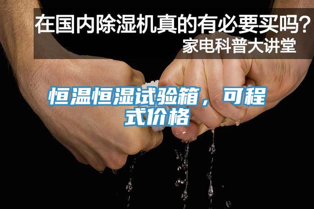 恒溫恒濕試驗箱，可程式價格