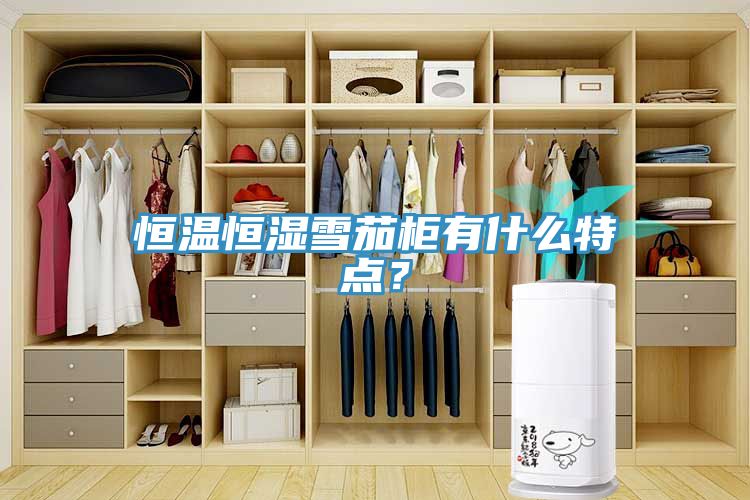 恒溫恒濕雪茄柜有什么特點？