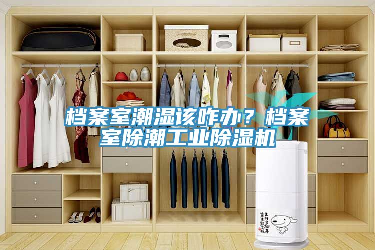 檔案室潮濕該咋辦？檔案室除潮工業(yè)除濕機
