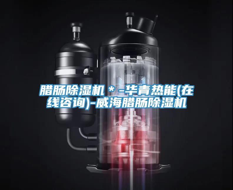 臘腸除濕機*-華青熱能(在線咨詢)-威海臘腸除濕機