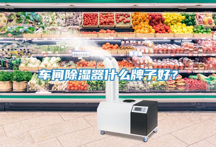 車(chē)間除濕器什么牌子好？