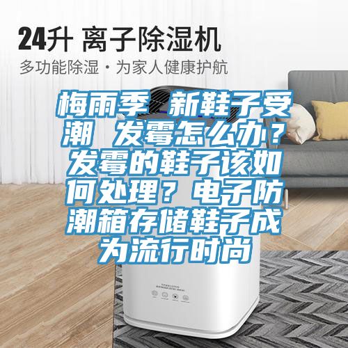 梅雨季 新鞋子受潮 發(fā)霉怎么辦？發(fā)霉的鞋子該如何處理？電子防潮箱存儲鞋子成為流行時尚