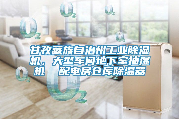 甘孜藏族自治州工業除濕機，大型車間地下室抽濕機  配電房倉庫除濕器