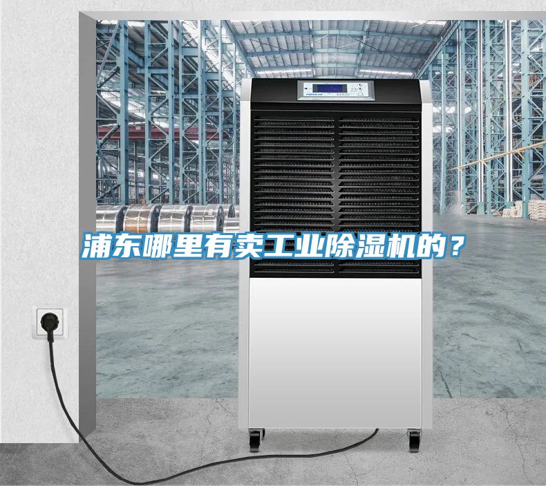 浦東哪里有賣(mài)工業(yè)除濕機(jī)的？