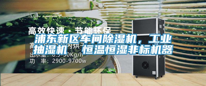 浦東新區(qū)車(chē)間除濕機(jī)，工業(yè)抽濕機(jī)  恒溫恒濕非標(biāo)機(jī)器