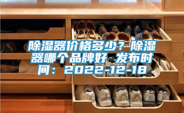 除濕器價(jià)格多少?除濕器哪個(gè)品牌好 發(fā)布時(shí)間:2022-12-18