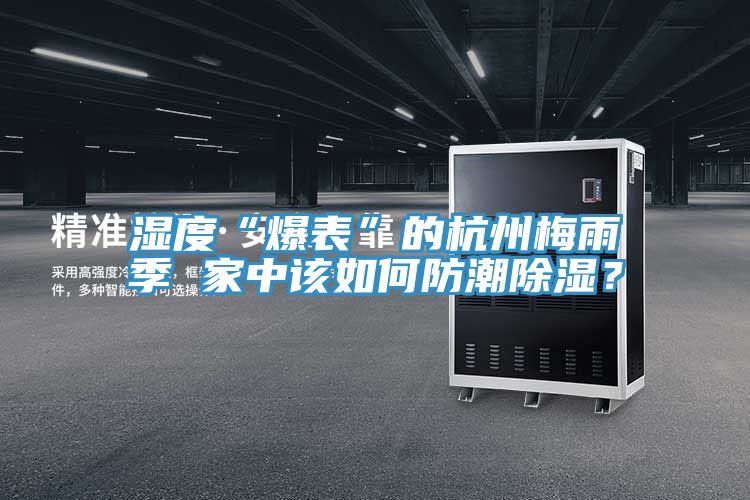 濕度“爆表”的杭州梅雨季 家中該如何防潮除濕?