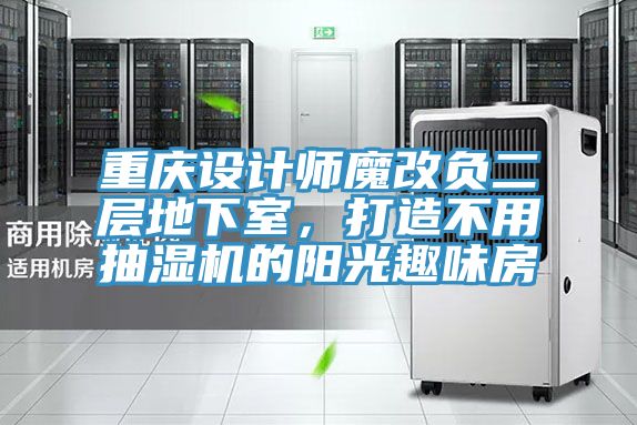 重慶設計師魔改負二層地下室，打造不用抽濕機的陽光趣味房