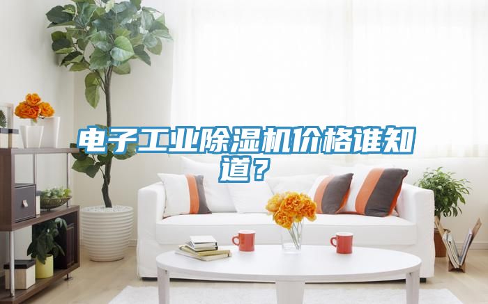 電子工業(yè)除濕機價格誰知道？