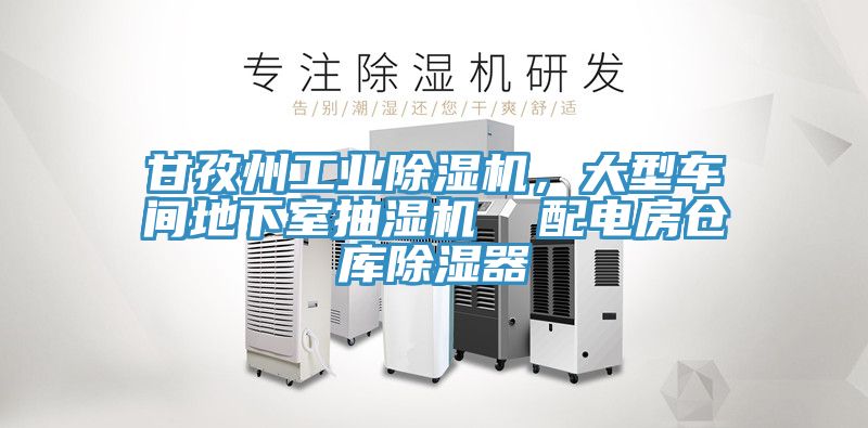 甘孜州工業除濕機，大型車間地下室抽濕機  配電房倉庫除濕器